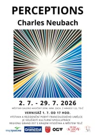 Charles Neubach: Perceptions