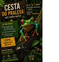 Cesta do pralesa - III. ročník - svět zvířat naživo